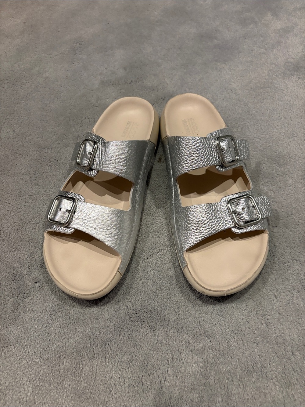 Ecco Silver 2ndCosmo
Slides